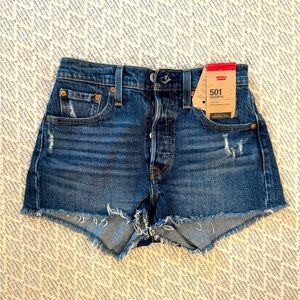 Brand New Levi Cutoff Jean Shorts